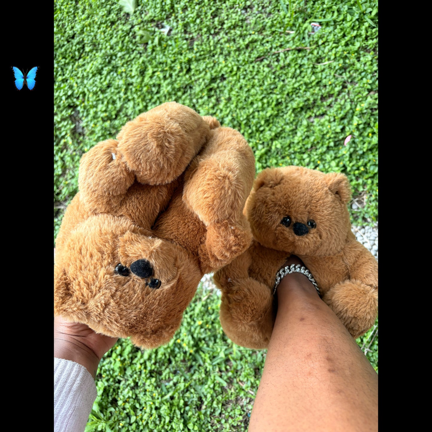 pretty teddy steps