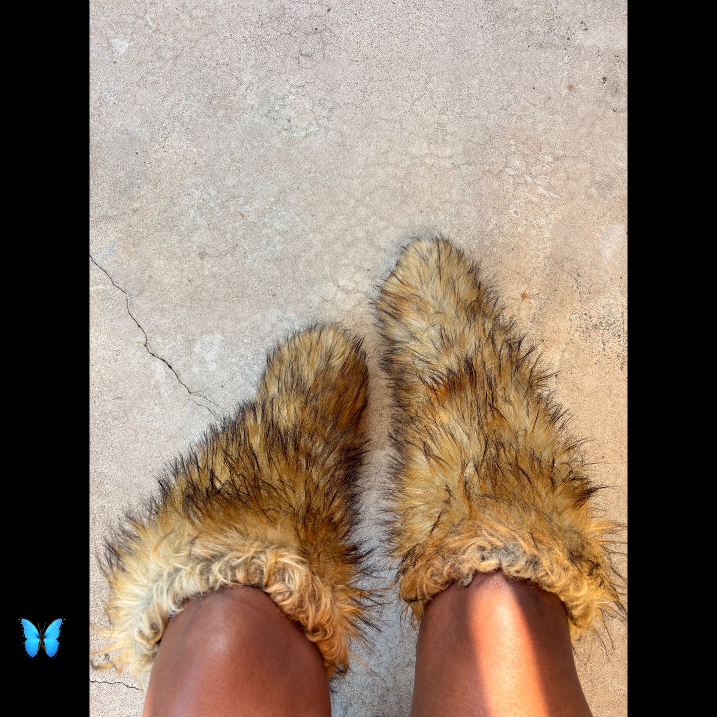 pretty fur babes